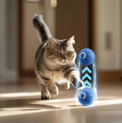 Pelota Mágica Para Mascotas