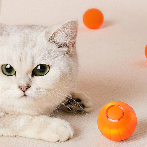 Pelota Mágica Para Mascotas